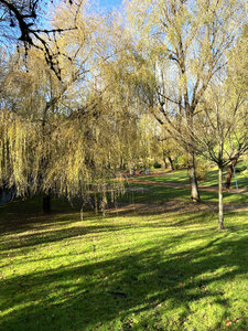 Le Parc de la Gorre